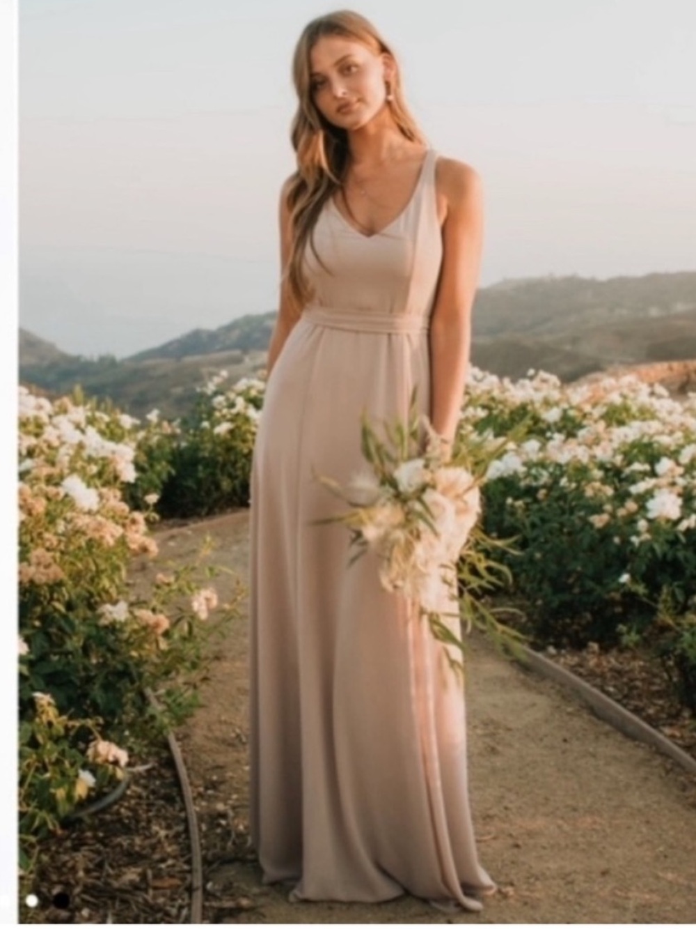 Show Me Your Mumu Jenn Chiffon Maxi Dress in Soft Beige Small New